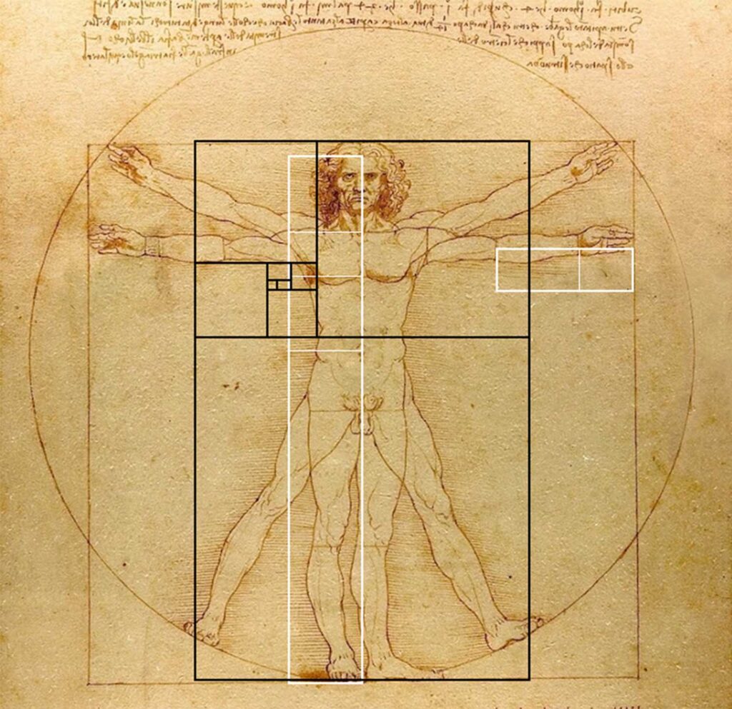 Leonardo da Vinci’s ‘The Vitruvian Man’