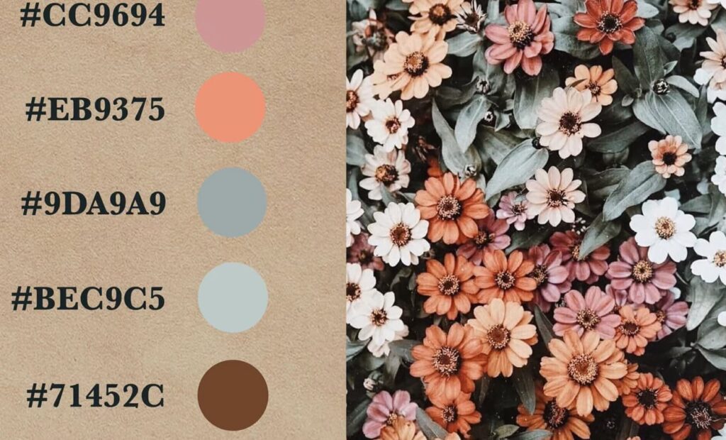 Soft pastels and earthy browns paired with a photo of orange-hued flowers